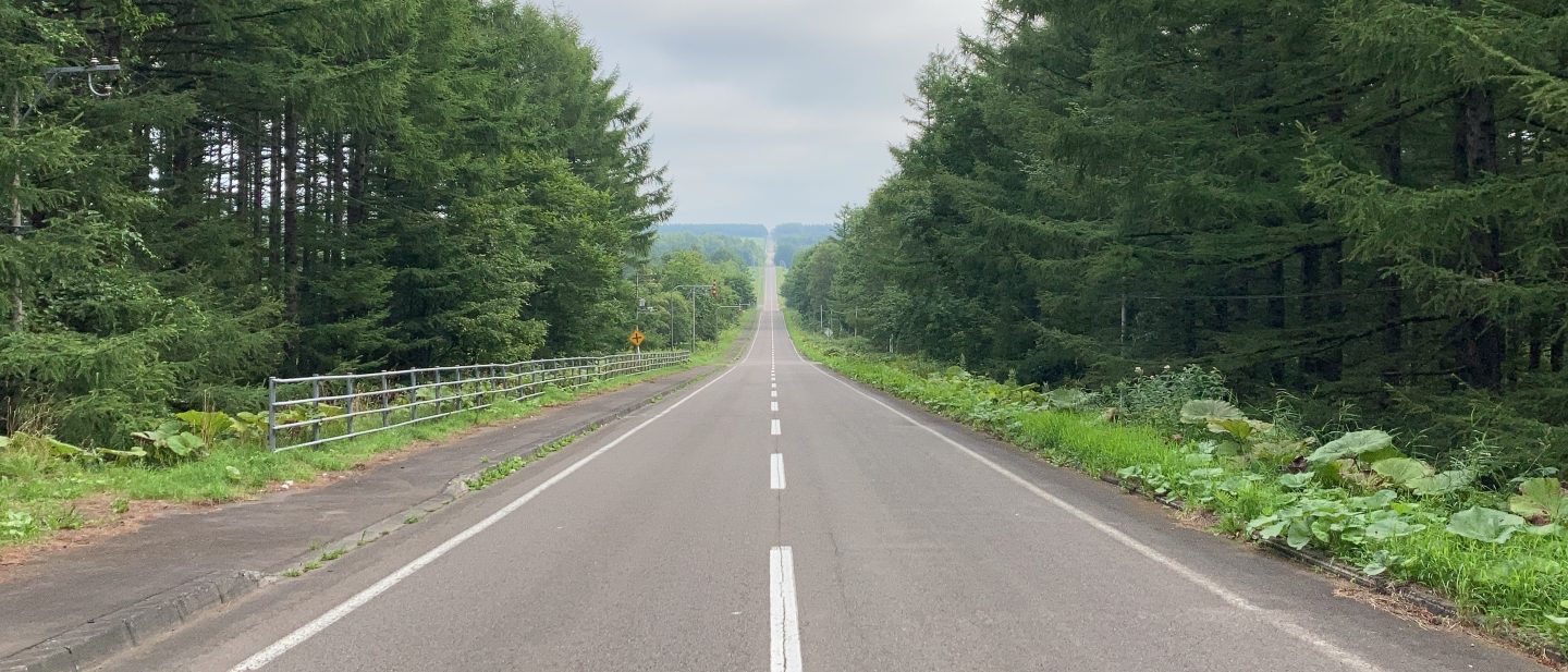 開陽台の道