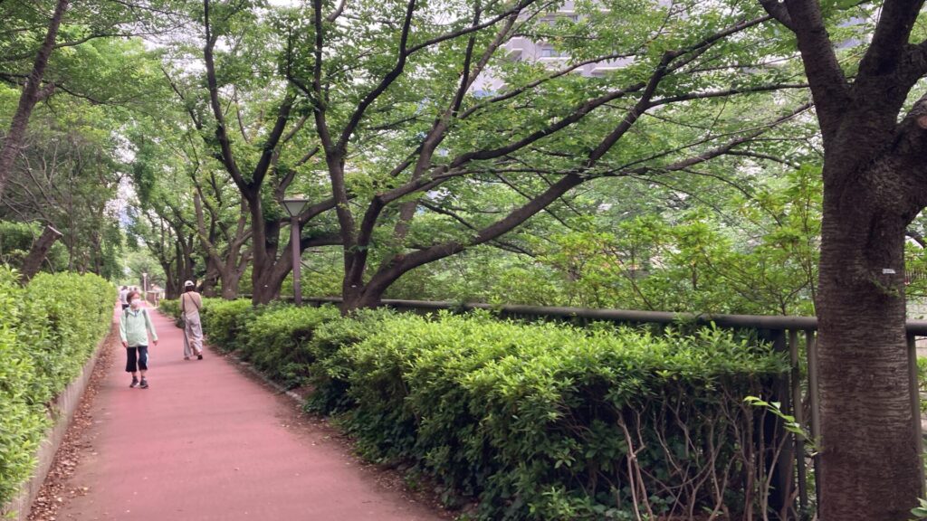 目黒川沿いの遊歩道